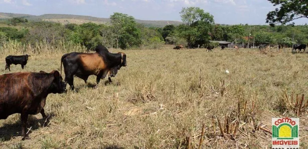 Fazenda/Sítio à venda, 1645600m² no , Silvânia