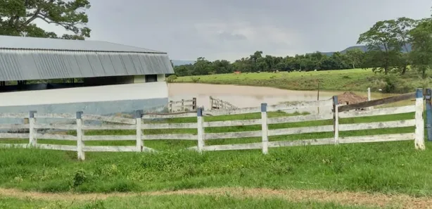 Fazenda/Sítio à venda no , Buritis