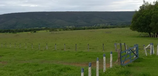 Fazenda/Sítio à venda no , Buritis