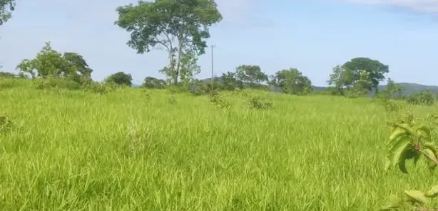 Fazenda/Sítio à venda, 580800m² no Centro, Jaraguá