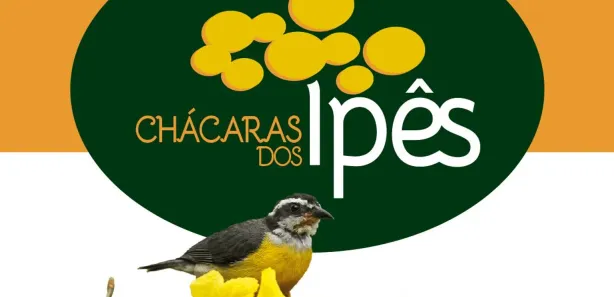 Fazenda/Sítio à venda, 2000m² no Joanápolis, Anápolis