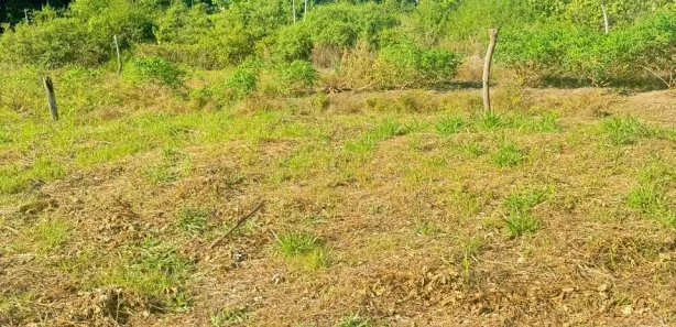 Lote/Terreno à venda, 1000m² no Área Rural de Guarapari, Guarapari