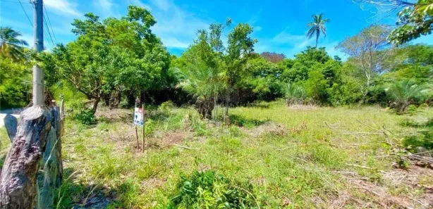 Lote/Terreno à venda, 5000m² no , Mata de São João