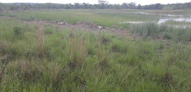 Lote/Terreno à venda, 20000m² no , Araçaí