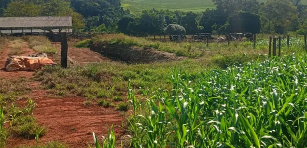 Fazenda/Sítio à venda, 1m² no Zona Rural, Gameleira de Goiás