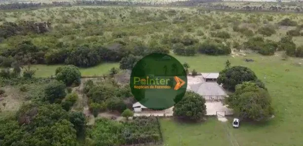 Fazenda/Sítio à venda, 16870000m² no , Bonfim