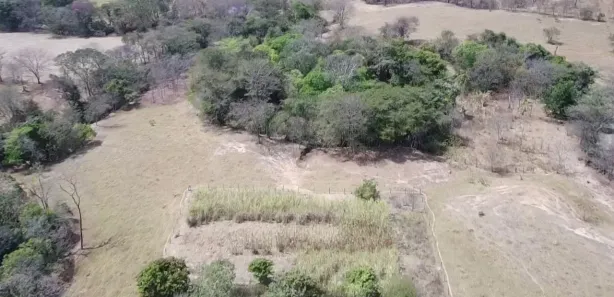 Fazenda/Sítio à venda no , Buritis
