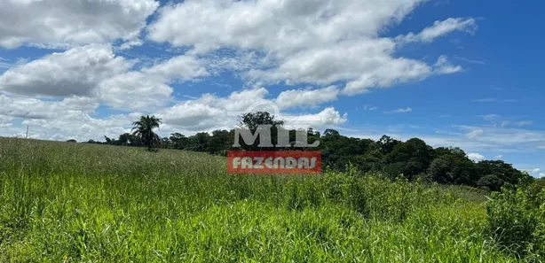 Fazenda/Sítio à venda, 173200m² no , Terezópolis de Goiás