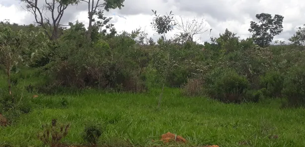 Lote/Terreno à venda, 20000m² no , Paraopeba