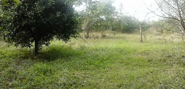 Lote/Terreno à venda, 1000m² no Caju, Nova Santa Rita