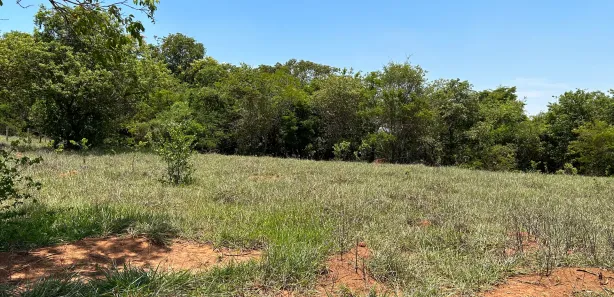 Lote/Terreno à venda, 1000m² no , Inhaúma