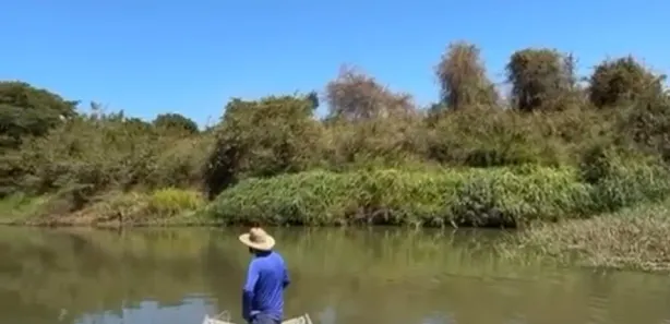 Fazenda/Sítio à venda, 1000m² no , Guapó