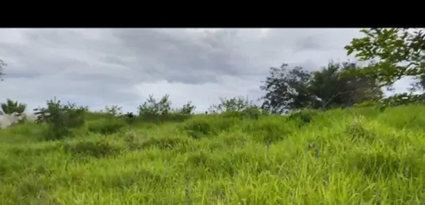 Fazenda/Sítio à venda no Planaltina, Brasília