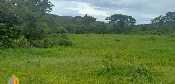 Fazenda/Sítio com 3 Quartos à venda, 46m² no , Buritis