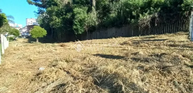 Lote/Terreno à venda, 999m² no Bela Vista, Caxias do Sul