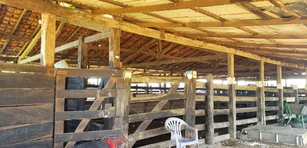 Fazenda/Sítio com 4 Quartos à venda, 300000m² no , Itapecuru Mirim