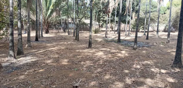 Fazenda/Sítio com 2 Quartos à venda, 5000m² no Setor Central, Padre Bernardo