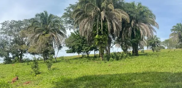 Fazenda/Sítio com 3 Quartos à venda, 72600m² no Área Rural de Inhumas, Inhumas