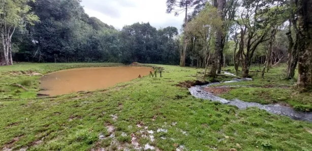 Lote/Terreno à venda, 22000m² no , Nova Petrópolis