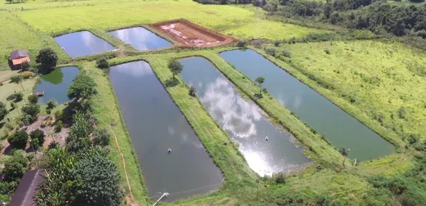 Fazenda/Sítio com 3 Quartos à venda, 100m² no , Abadiânia