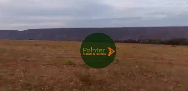 Fazenda/Sítio à venda, 8700000m² no , Buritis