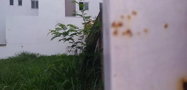 Lote/Terreno com 1 Quarto para alugar, 355m² no Santa Lúcia, Betim