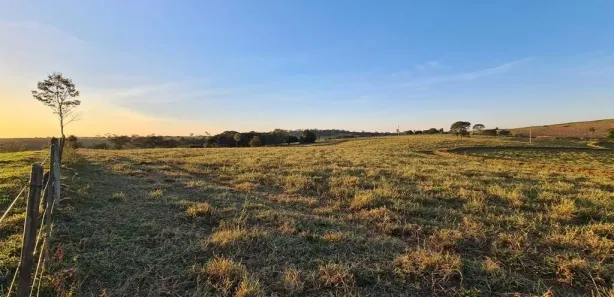 Fazenda/Sítio com 3 Quartos à venda, 10000m² no , Cafelândia