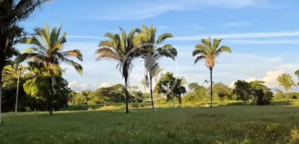 Fazenda/Sítio à venda, 200m² no Vila Santa Maria, Inhumas
