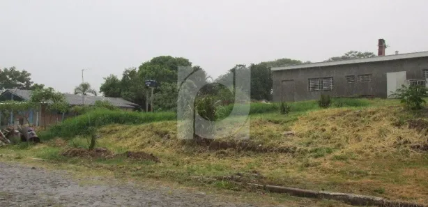 Lote/Terreno à venda, 250m² no Rincão do Cascalho, Portão