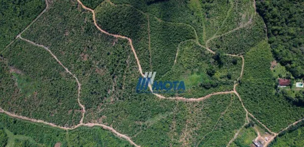Fazenda/Sítio com 3 Quartos à venda, 600m² no Antonina, Antonina
