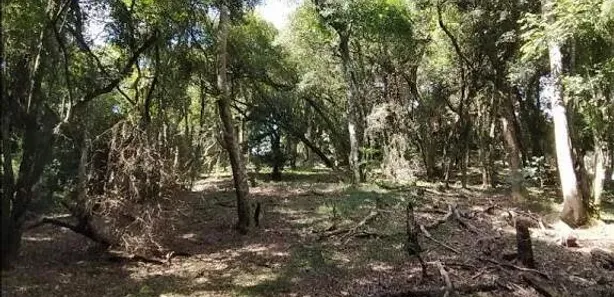 Lote/Terreno à venda, 4690m² no Viamópolis, Viamão