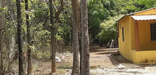 Fazenda/Sítio com 2 Quartos à venda, 10000m² no Centro, Padre Bernardo