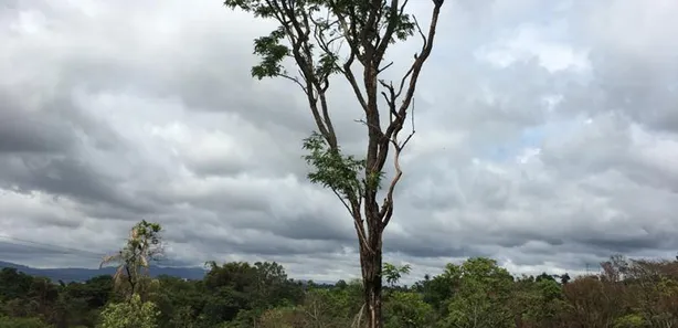 Lote/Terreno à venda, 33000m² no Citrolândia, Betim