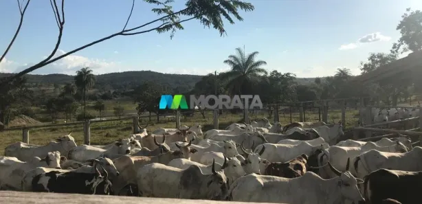 Fazenda/Sítio com 1 Quarto à venda, 285m² no , Inhaúma