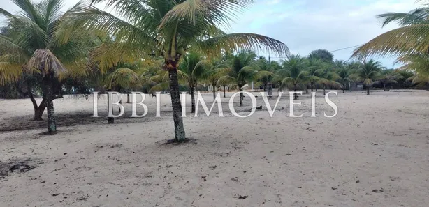 Lote/Terreno à venda, 45000000m² no , Belmonte