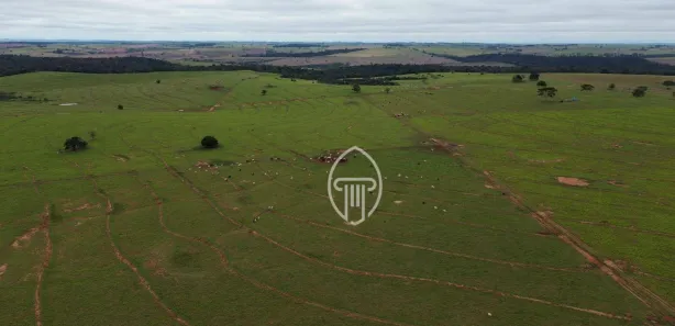 Fazenda/Sítio à venda, 23498200m² no Cruzeiro do Oeste, Cruzeiro do Oeste