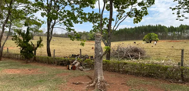 Fazenda/Sítio com 4 Quartos à venda, 270000000m² no Distrito Agroindustrial de Inhumas, Inhumas