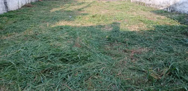 Lote/Terreno para alugar, 300m² no Jardim Prestes de Barros, Sorocaba