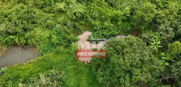 Fazenda/Sítio à venda, 20000m² no Vila Mutirão, Inhumas