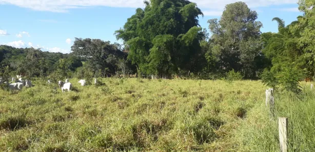Lote/Terreno à venda, 20000m² no , Paraopeba