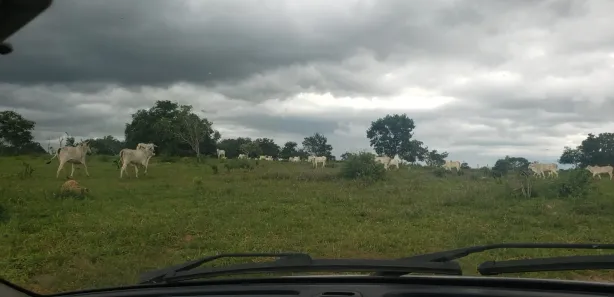 Fazenda/Sítio à venda, 690m² no , Padre Bernardo