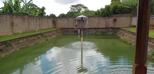 Fazenda/Sítio com 3 Quartos à venda, 6000m² no , Brasília