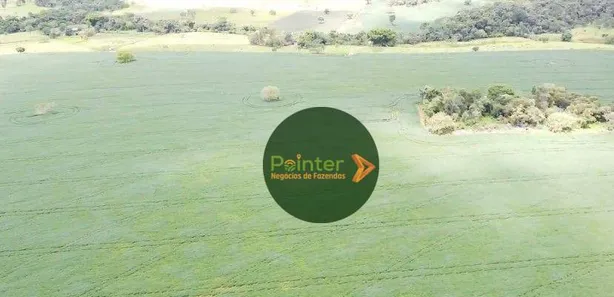 Fazenda/Sítio à venda, 701800m² no , Jaraguá