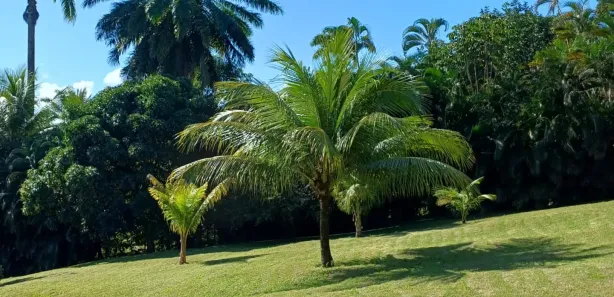 Casa de Condomínio com 2 Quartos para alugar, 70m² no Portão, Lauro de Freitas