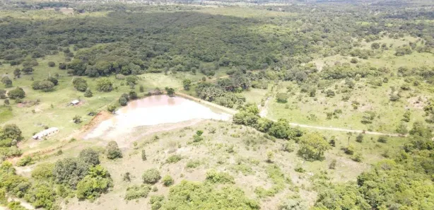 Fazenda/Sítio com 5 Quartos à venda, 37m² no , Goiás