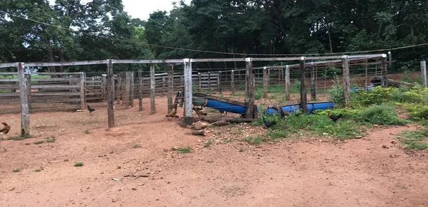 Fazenda/Sítio com 3 Quartos à venda, 43m² no Tupiracaba, Niquelândia