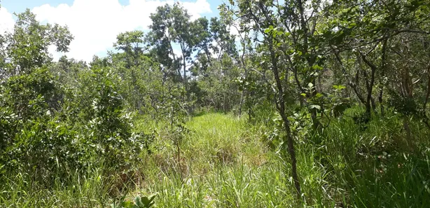 Lote/Terreno à venda, 20000m² no Cordisburgo, Cordisburgo