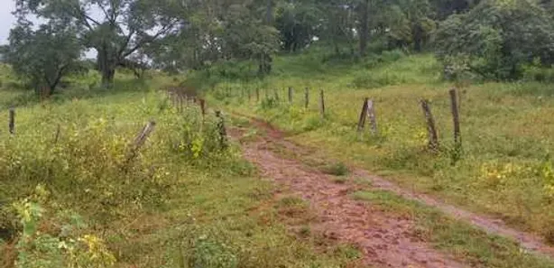 Fazenda/Sítio com 2 Quartos à venda, 100m² no , Itaberaí