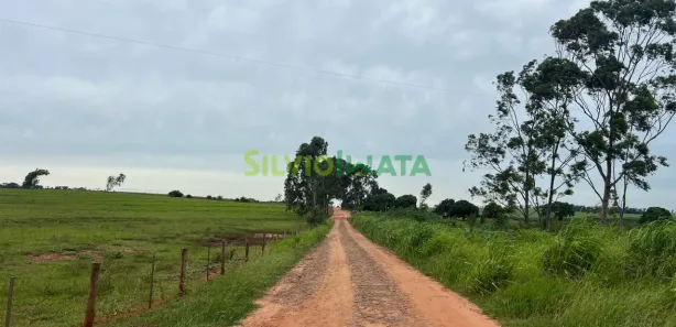 Fazenda/Sítio à venda, 10m² no , Cruzeiro do Oeste