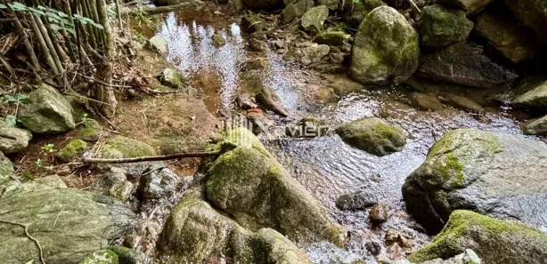 Fazenda/Sítio com 2 Quartos à venda, 6000m² no Comunidade Urbana de Jaboti, Guarapari